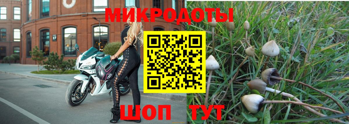 Сосновоборск  как найти закладки  Псилоцибиновые грибы GOLDEN TEACHER  Вход с VPN  Псилоцибиновые грибы мицелий 